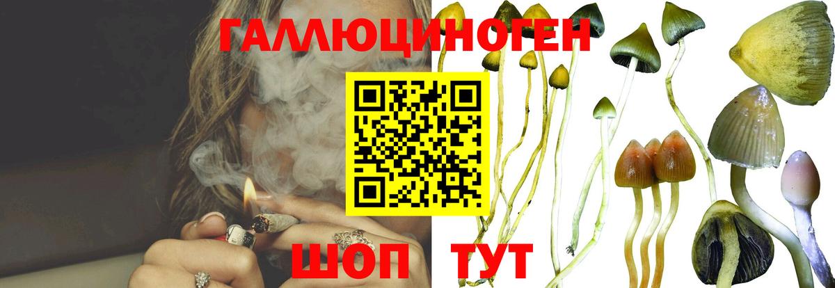 Псилоцибиновые грибы ЛСД  Псилоцибиновые грибы прущие грибы  Минусинск  Вход с VPN 